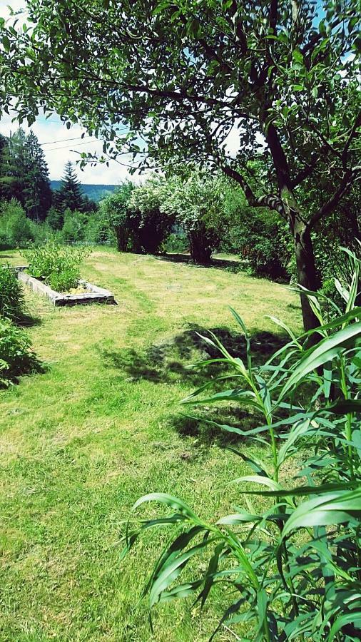 La Boissellerie Hotel Saulxures-sur-Moselotte Luaran gambar